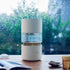 Rainforest Humidifier